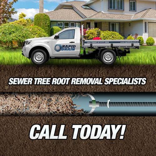 Sewer Tree Root Removal Specialists In Ballymore